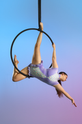 Twilight Fairy | Leotard
